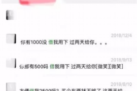 禹王台为什么选择专业追讨公司来处理您的债务纠纷？